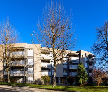 Votre nouveau logement de rêve - Photo 5