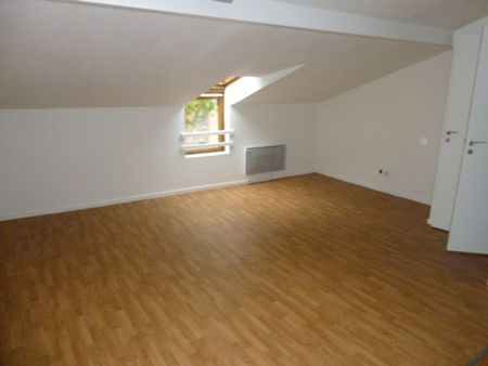 Location Appartement 1 pièce 16m² TOURNEFEUILLE 31170 - Photo 2