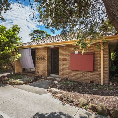 QUIET BLOCK l PRIVATE COURTYARD l WALK TO SHOPS & BEACH - Photo 3