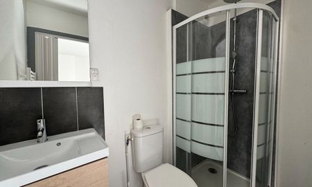 Location Appartement 1 pièce LIMOGES (87000) - Photo 2