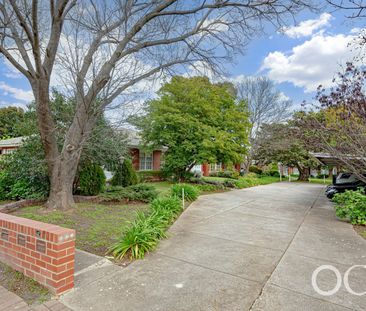 Open the Door To Effortless Living in Leafy Glenunga - Photo 4