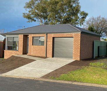 Brand New Townhouse with Lake View - Photo 2