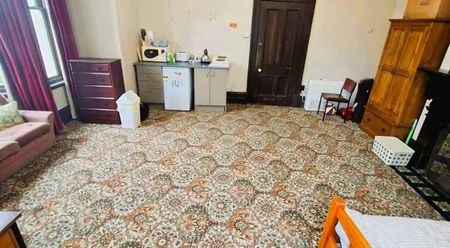 King-Sized Studio Living - Sign On Bonus! - Photo 5