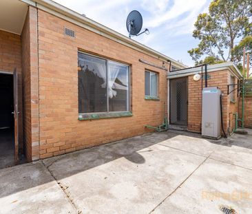 Homely & Light filled Two-Bedroom Unit - Photo 4