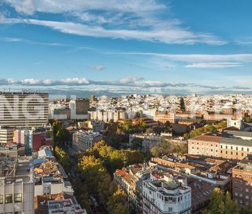 Madrid, Community of Madrid 28008 - Photo 5