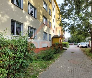 Toruń, Bażyńskich - Photo 3