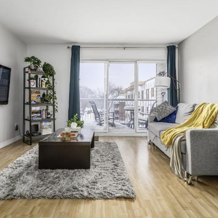 Appartement 4 ½ à louer Limoilou novembre 2025 - Photo 3