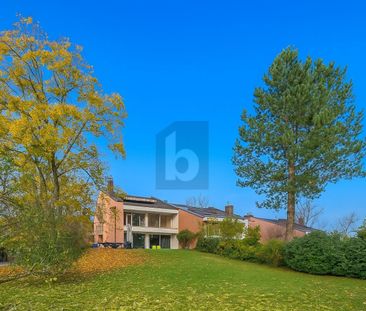 AU COEUR DE LA VERDURE - Photo 3