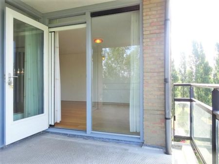 Walter Kollolaan - Photo 4