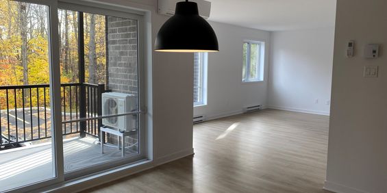 Logement 4 1/2 - 1er Juil - Saint-Jérôme - Photo 3