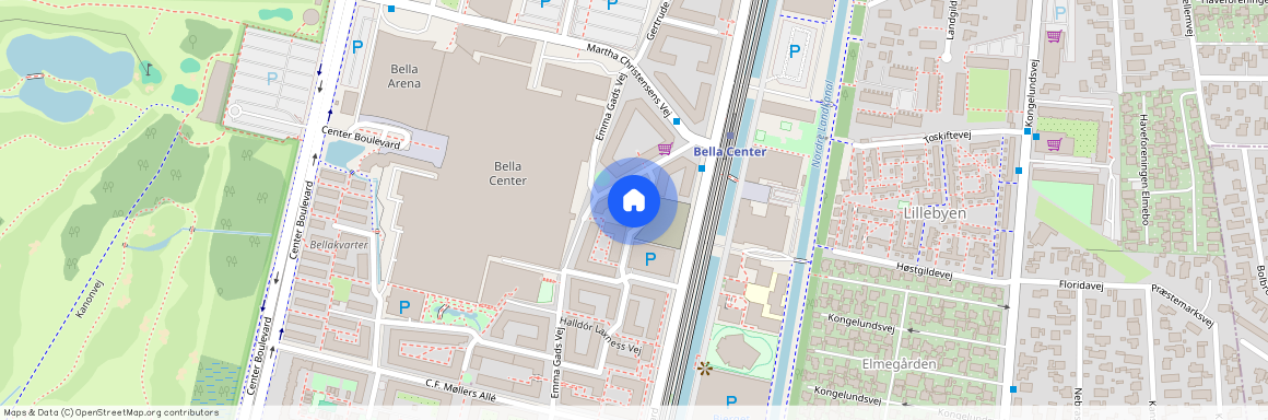 Halldór Laxness Vej 23, 3. tv., Strunges Hus, 2300 København S