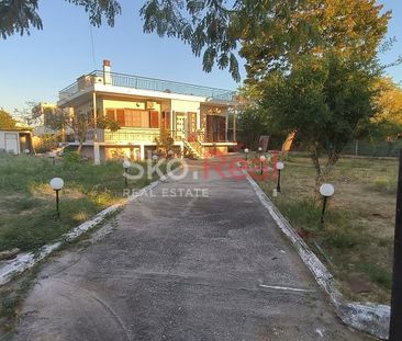 Μονοκατοικία για ενοικίαση Νέα Κερασιά (Μηχανιώνα) - Φωτογραφία 6
