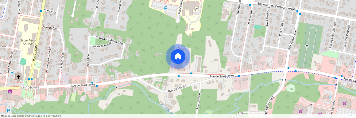 614 Rue de St Jovite, Mont-Tremblant, Mont-Tremblant, Laurentides, J8E 0T4