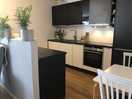 Svartviksslingan, Bromma - Photo 5