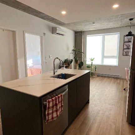 3½ à céder – tout neuf, super lumineux, à 2 pas du métro Cartier! - Photo 4