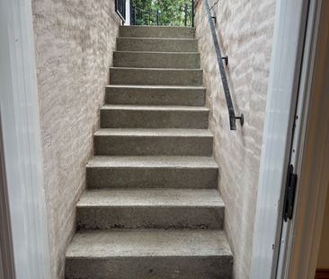 For Lease - 41 Mountainberry Road Unit# Basement, Brampton, Ontario - Photo 3