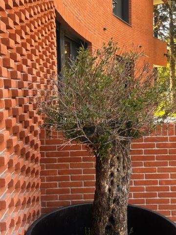Modern One Bedroom Garden Apartment for Rent, Pipera, Voluntari - Photo 5