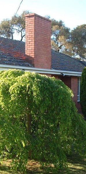5 Michael Avenue, Glen Waverley - Photo 1