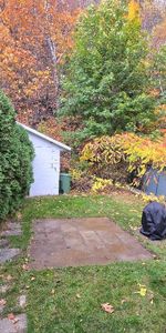 4 1/2 a louer - Photo 4