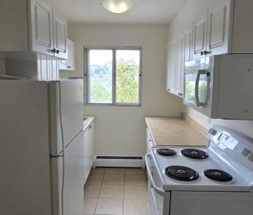 223 Windmill Road Dartmouth Waterfront | Upgraded Waterfront 1-Bedr... - Photo 4