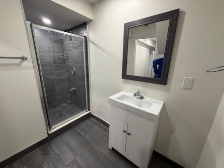 For Lease - 78 Fandago (Basement) Drive, Brampton, Ontario - Photo 3