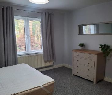 16 Kings Manor - Photo 5