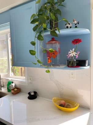 For Lease - 163 Forest Run Boulevard, Vaughan, Ontario - Photo 1