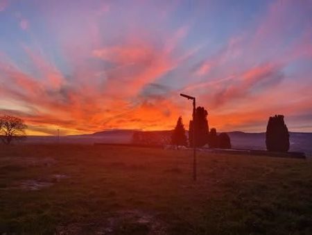 5.5 Zimmer - Photo 4