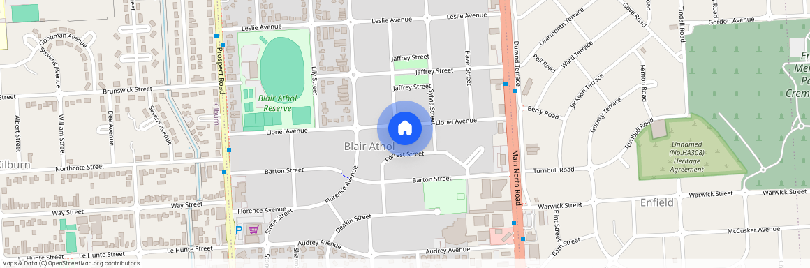 55 Lionel Avenue, SA 5084, Blair Athol