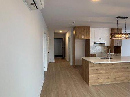 430 Boul. du Bord de l'Eau - Photo 4