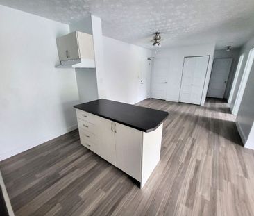 Appartement 4 ½ rénové à louer – Sherbrooke, Secteur Université & M... - Photo 1