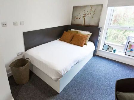 Premium Studio Accessible - Photo 2