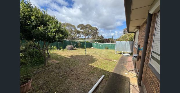 Spacious Family Home with Large Backyard in Valley View - Photo 1