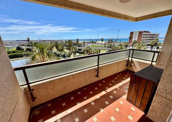 Alquiler de piso en Calle Adelfa