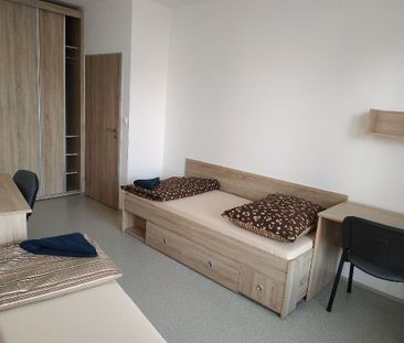 Pronájem bytu 1+kk a garsoniéry 20 m², Branišovská 1800, České Budě... - Fotografie 3