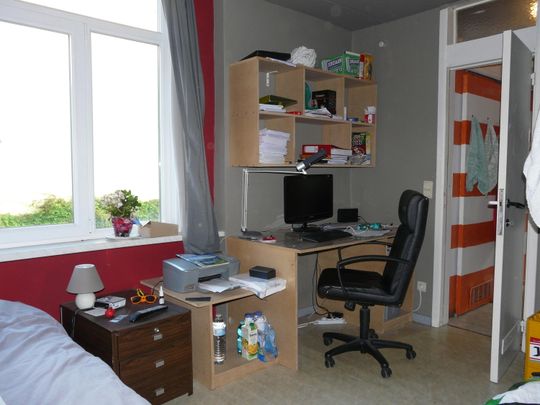 Dubbele studio 1ste verdieping - Ommegangstraat 46 0001 - Photo 1