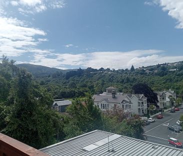 Stunning New Studio Rooms in North Dunedin - Photo 6