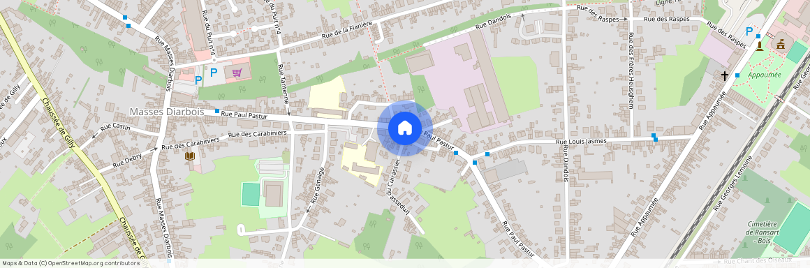 Rue Paul Pastur, 68, 6043, Charleroi