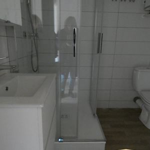 Location Appartement 1 pièce 21m² BELLEY 01300 - Photo 2