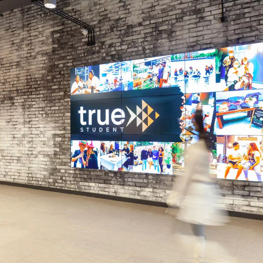 True Studio - Photo 1