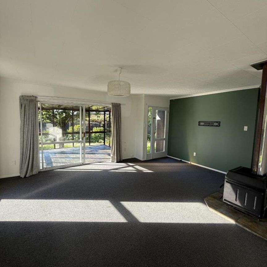 Sunny Family Home in Renwick - Photo 1