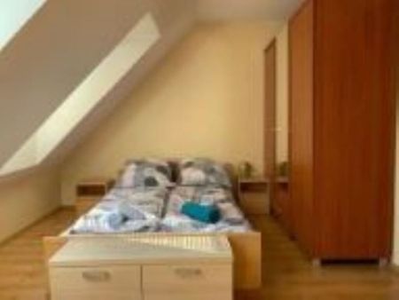 Mieszkanie | Wynajem - Фото 2