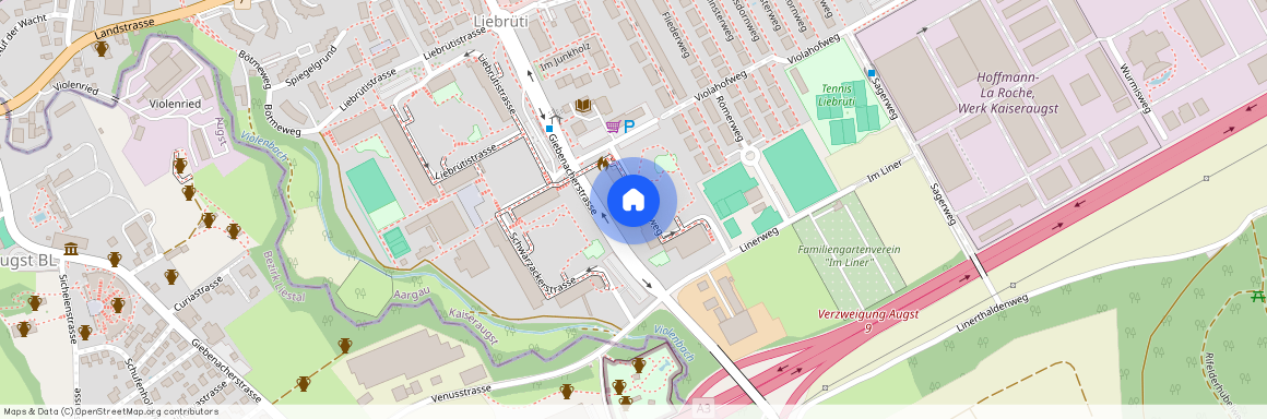 Violaweg 73, 4303 Kaiseraugst