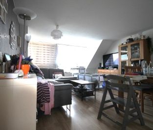 Familienfreundliche 4 Zimmer Dachgeschoss Wohnung in Dibbesdorf - Foto 3