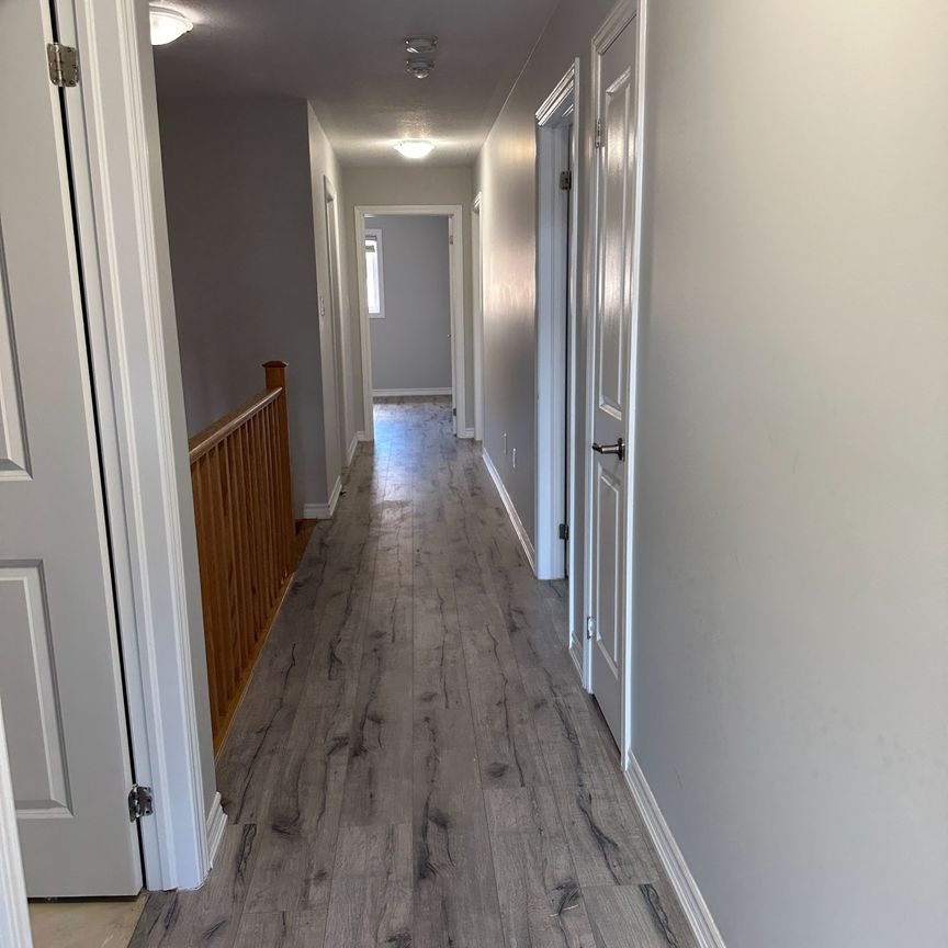 For Lease - 5 Hines Street, Brampton, Ontario - Photo 1