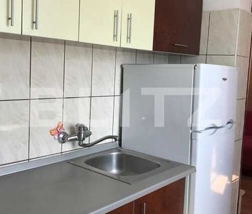 Garsoniera 22mp, pet friendly, zona strazii Izlazului - Fotografie 4