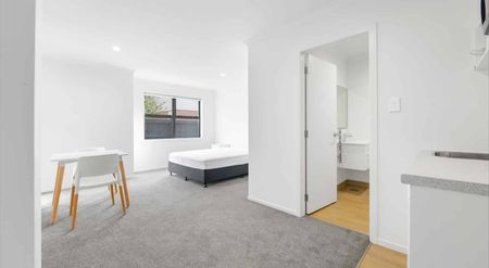 Fully Furnished Studio Unit - Photo 5