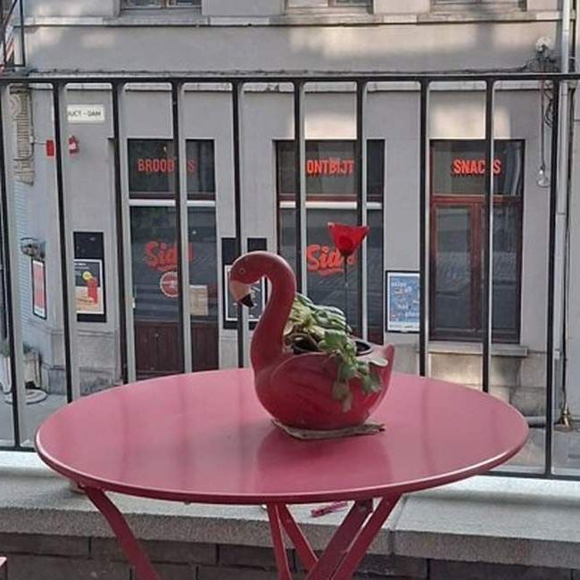 Appartement te huur in Antwerpen voor € 965 met 2 slaapkamers - Foto 1