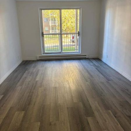 1 CH - 1 SDB - Gatineau - $1,495 /mo - Photo 4