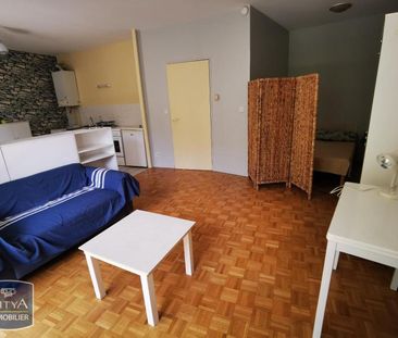 Location Appartement 1 pièce 41m² ST ETIENNE 42100 - Photo 2
